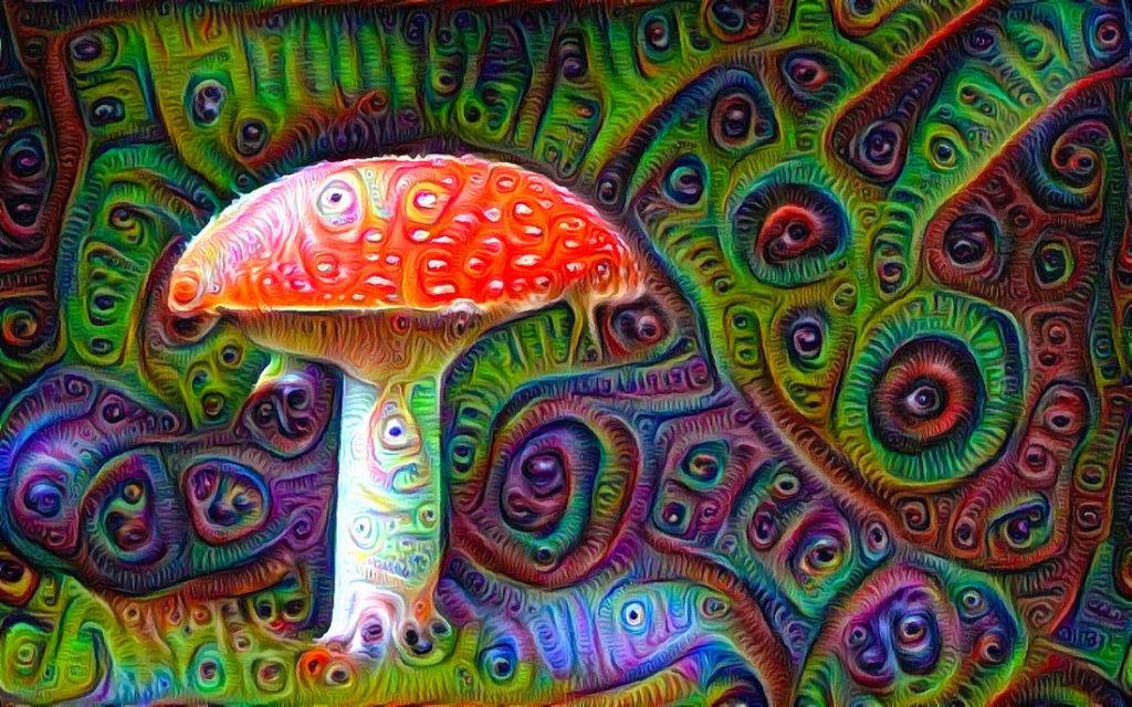 Psychedelic Google Deep Dream pictures
