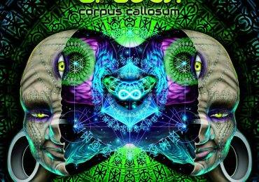 Trancentral's weekly new psytrance releases 21/06/2016