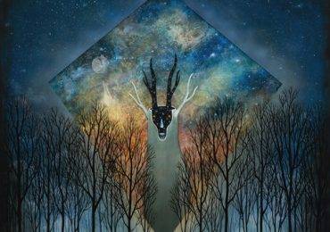 Andy Kehoe