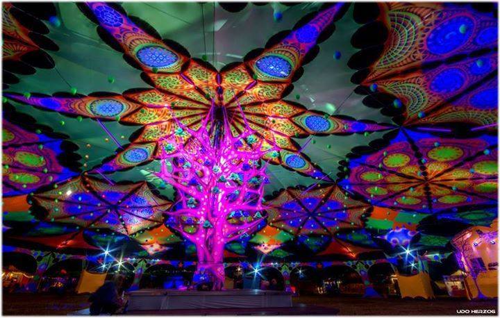 Antaris Project Festival 2015 decoration