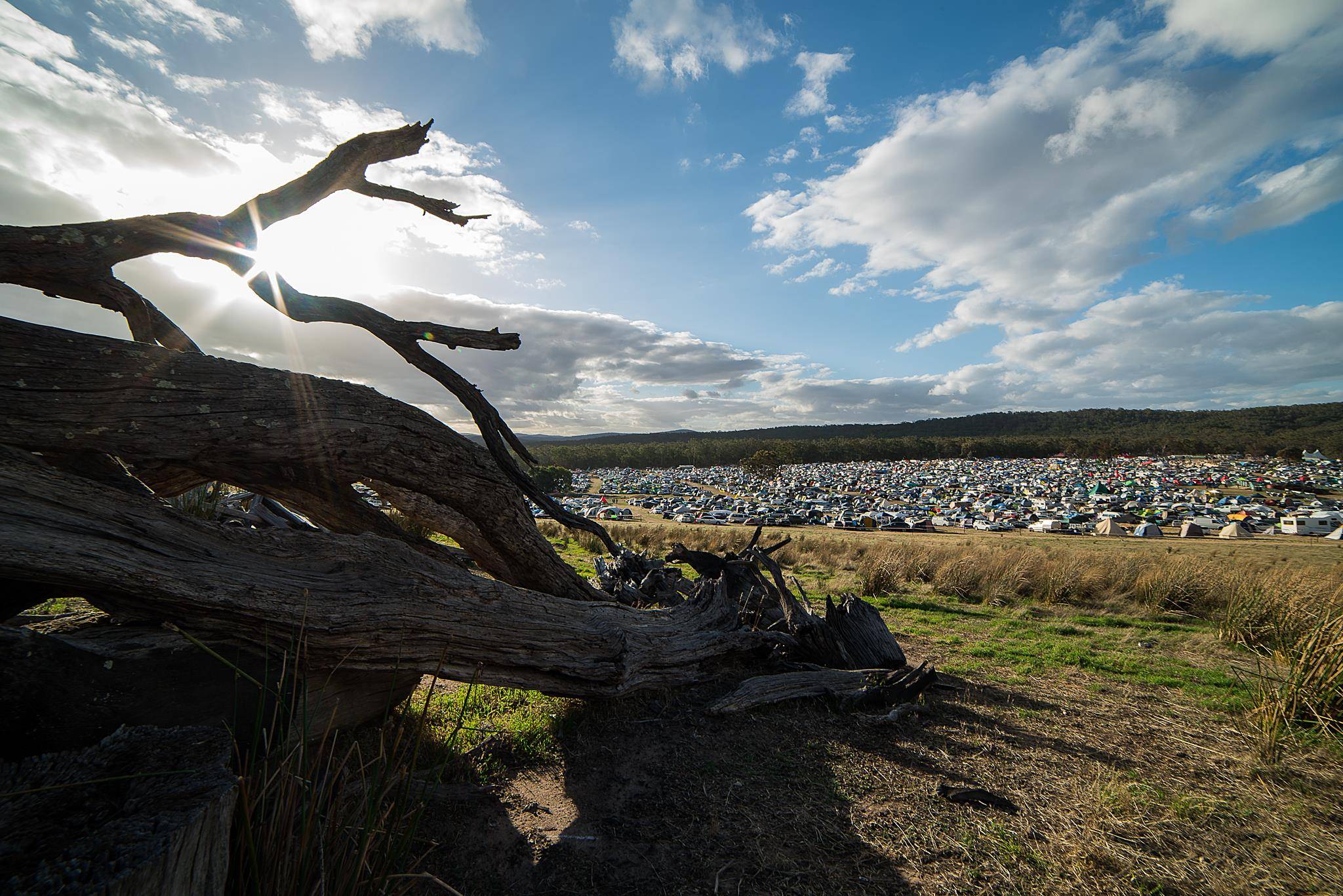 Rainbow Serpent 2015 - venue