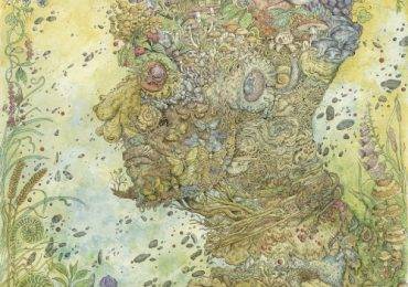 Psychedelic Illustrations - Christophe Gilland