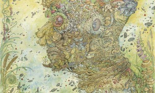 Psychedelic Illustrations - Christophe Gilland