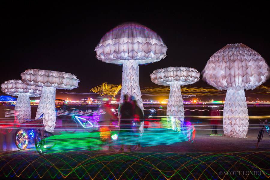 Burning Man 2016 Mushrooms (Photo by Scott London)